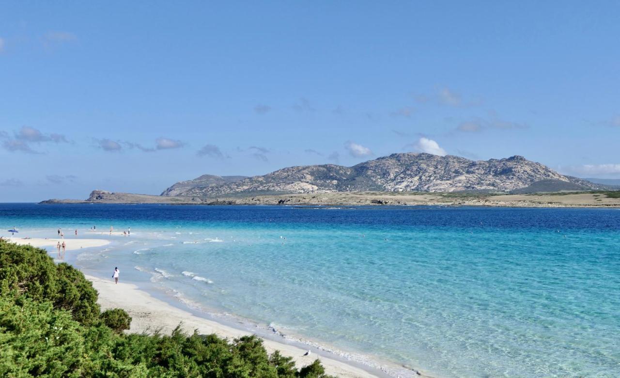 Resort Con Piscina A Soli 250 Mt Dalla Spiaggia La Pelosa Stintino Εξωτερικό φωτογραφία