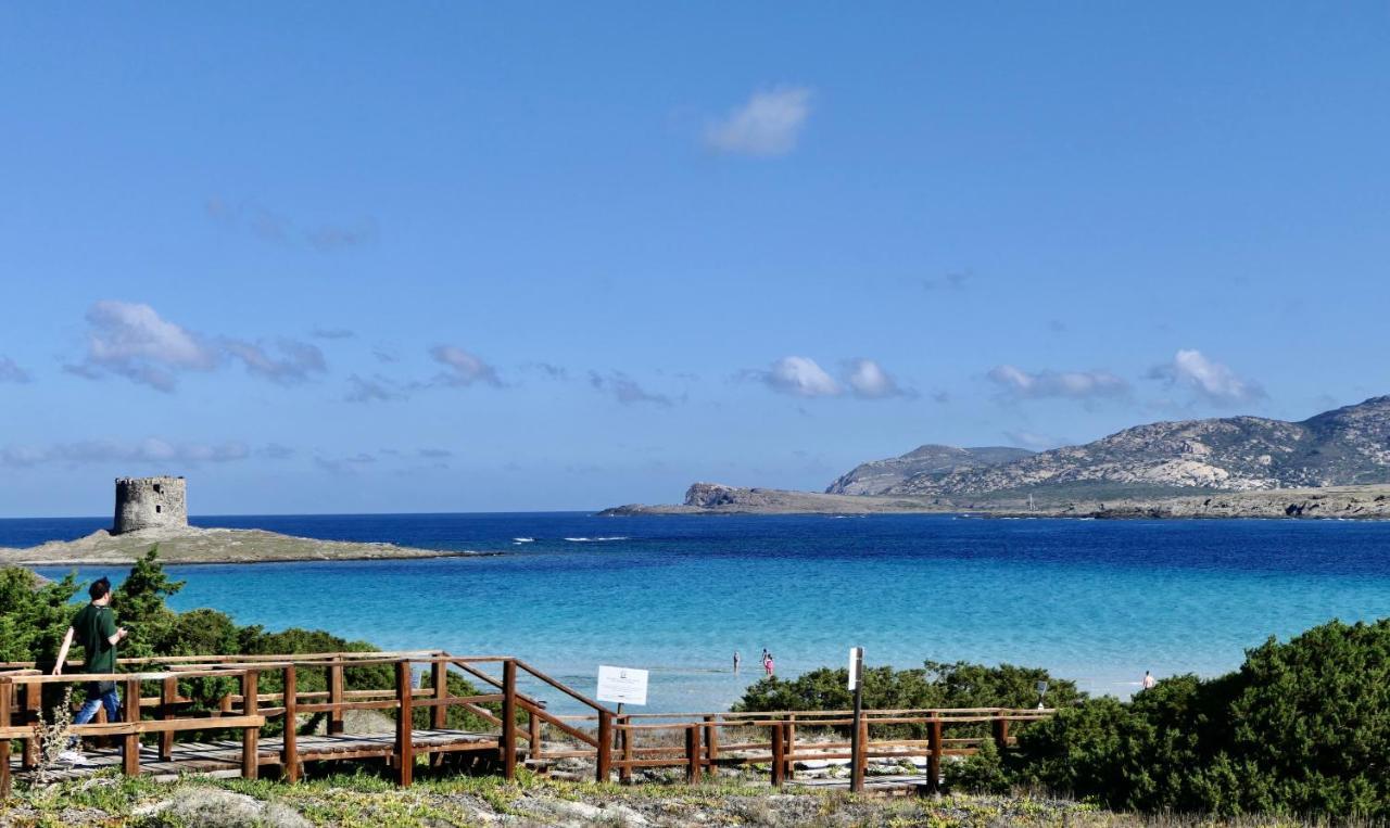 Resort Con Piscina A Soli 250 Mt Dalla Spiaggia La Pelosa Stintino Εξωτερικό φωτογραφία